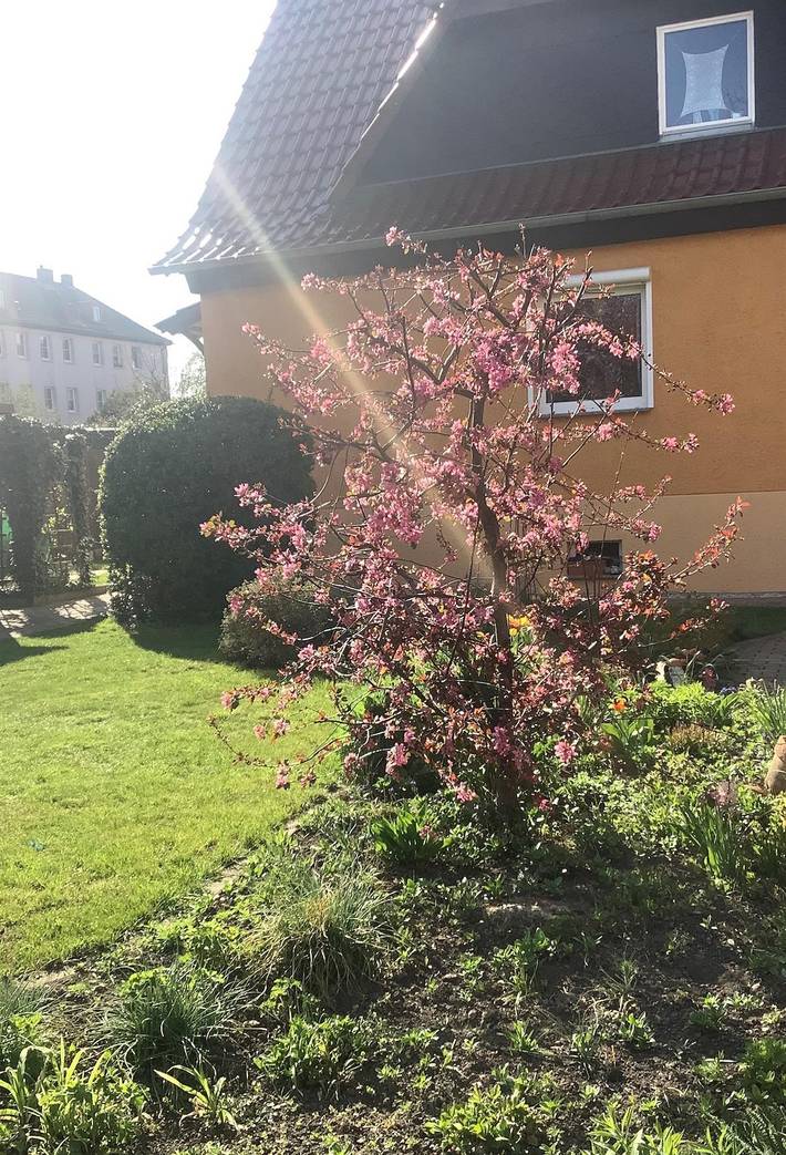 Ganze Ferienwohnung, Kleine gemütliche Ferienwohnung (33qm) in Naumburg, Saale-Unstrut