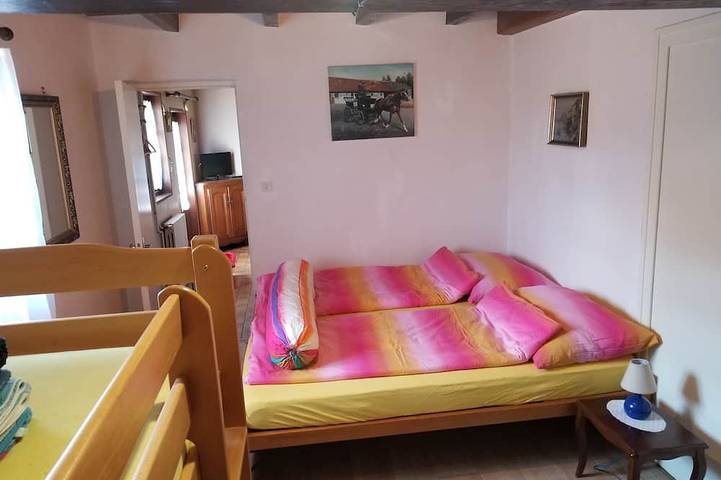 Location de vacances pour 12 personnes, avec jacuzzi ainsi que sauna et jardin à La Chapelle-Naude - 3