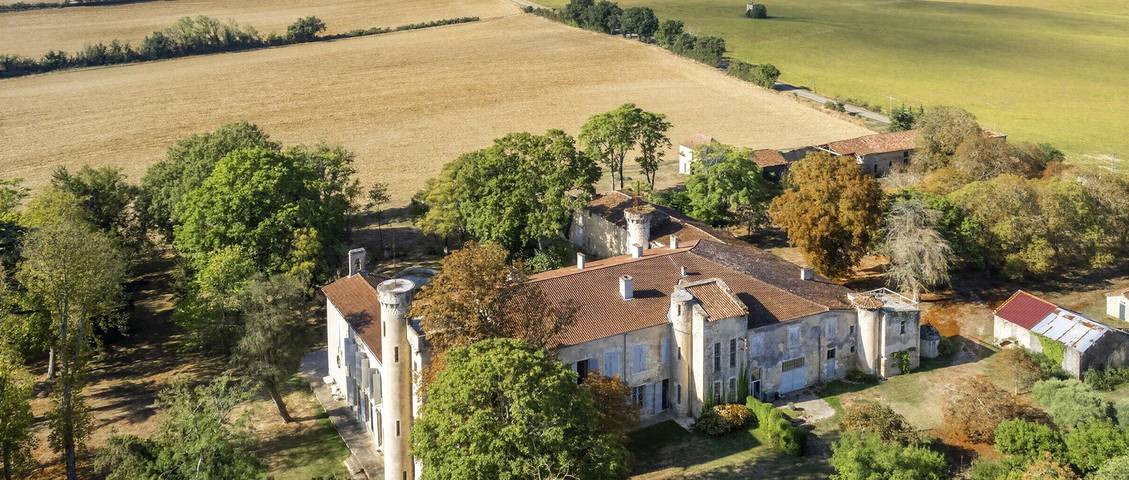 Château pour 20 personnes avec piscine in Lamothe-Goas, Gers