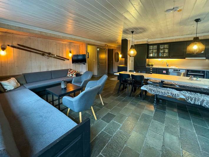 Ferieleilighet for 18 personer, med sauna, dyr tillatt i Hemsedal
