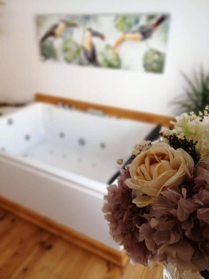 Casa rural para 2 personas, con jacuzzi en Provincia de Palencia - 3