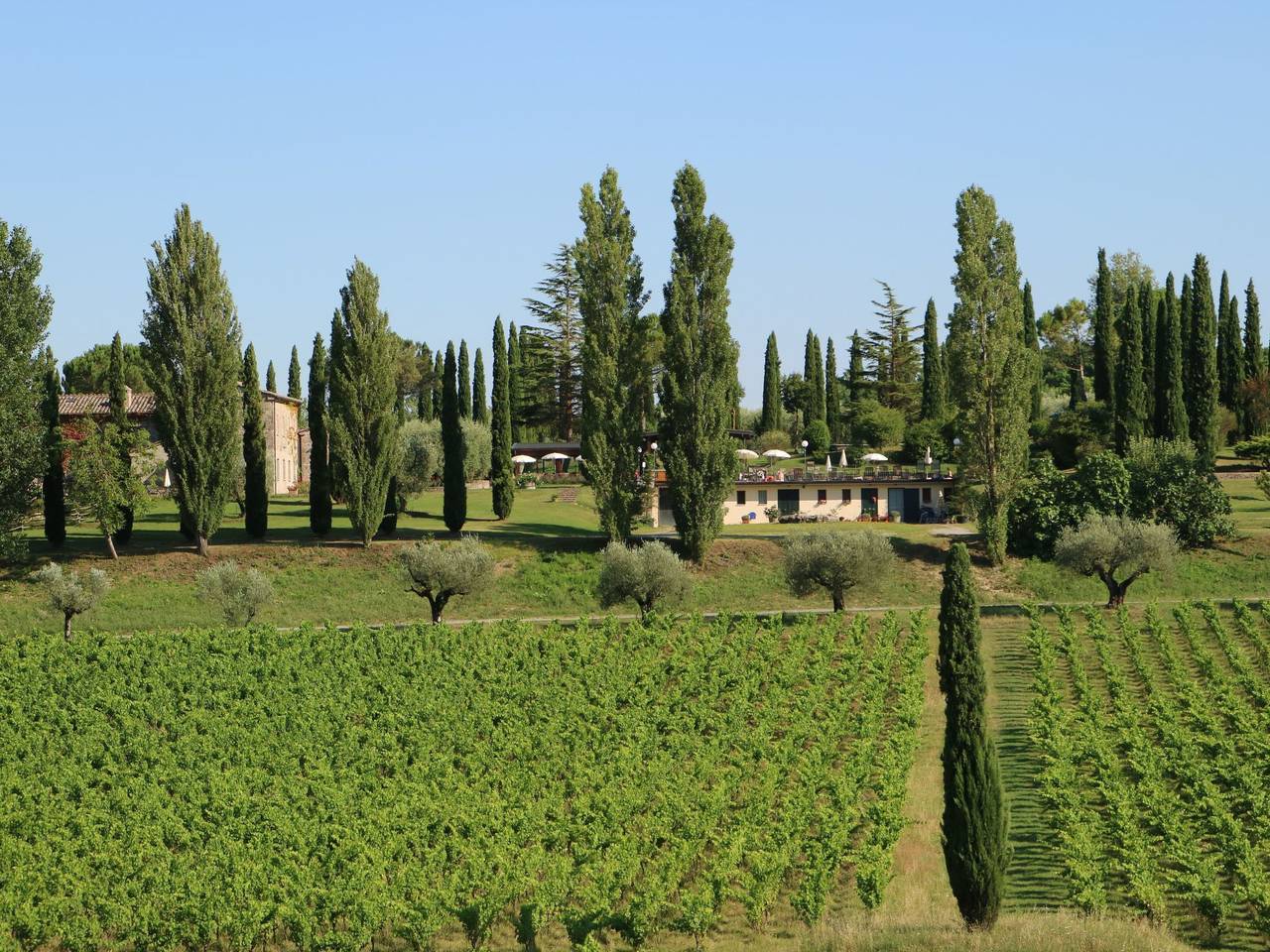 Apartamento entero, Flach 4px in Sarteano, Provincia de Siena