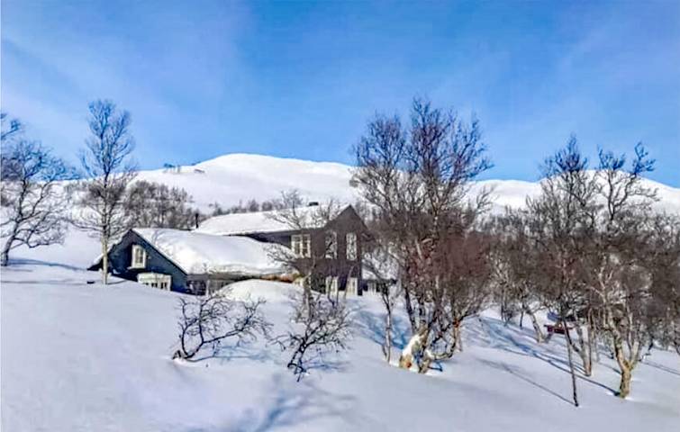 Ferienhaus für 8 Personen mit Seeblick in Oppdal