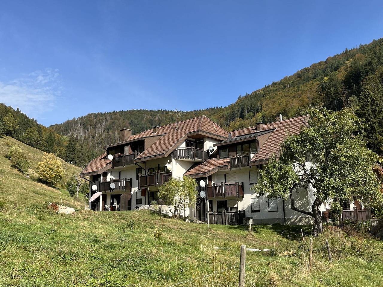 Ganze Wohnung, Todtnau 623 - Sonnenblick Iii 623.3 in Todtnau, Südschwarzwald