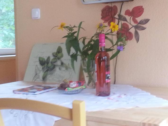 Bungalow für 4 Personen, mit Ausblick und Garten sowie Terrasse in Deutschland - 3