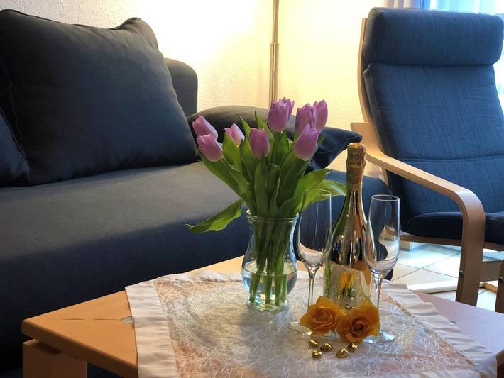 Ferienwohnung für 4 Personen, mit Terrasse und Garten sowie Pool und Sauna in Barleben