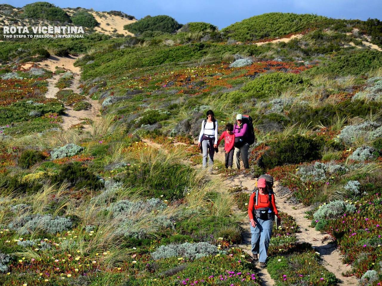 Apartamento inteiro, "The Natural Elements" in Odeceixe, Costa Alentejana
