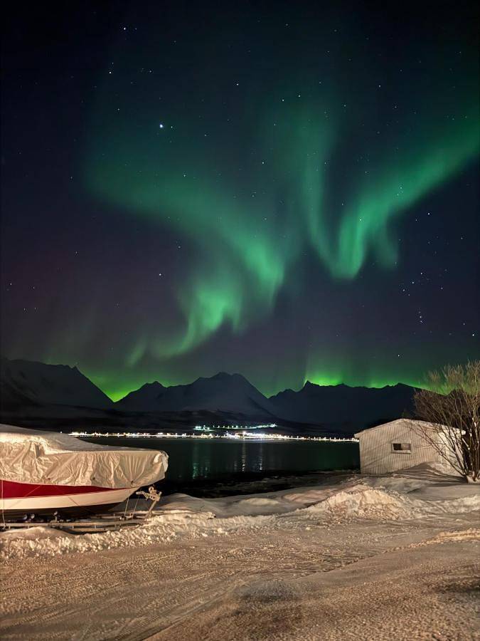 Ferienhaus für 6 Personen, mit Garten und Ausblick in Lyngen - 3