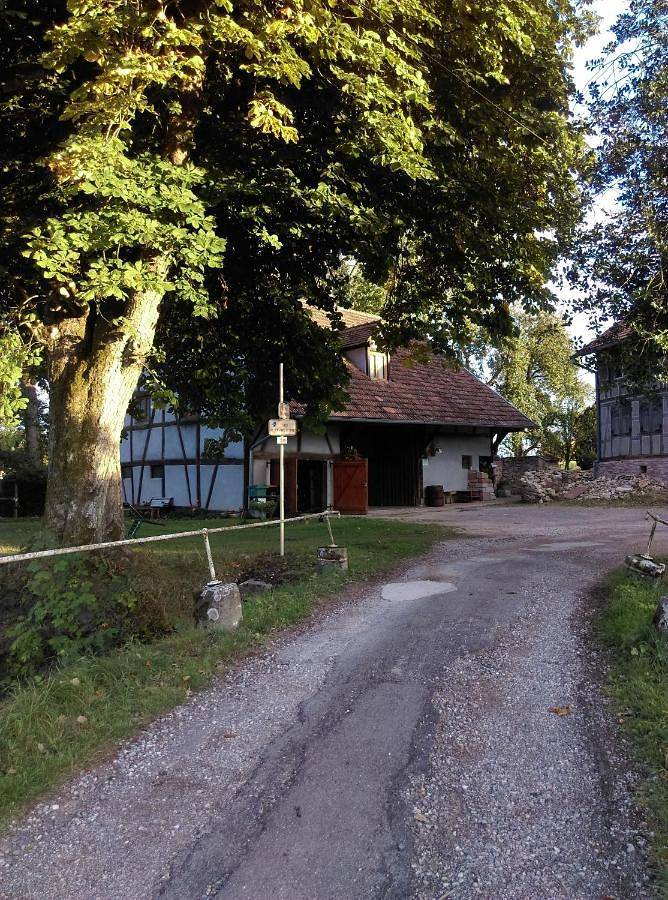 Gîte pour 5 personnes, avec vue et jardin, animaux acceptés dans Valdieu-Lutran