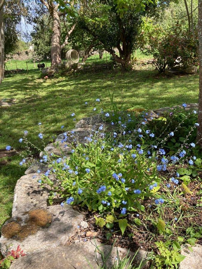 Location de vacances pour 10 personnes, avec vue et jardin, animaux acceptés à Pont-Croix - 3