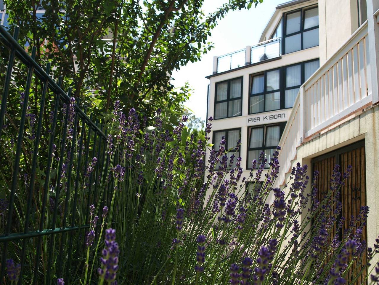 Ganze Ferienwohnung, Ostseeallee 3a Pier K´Born Whg in Ostseebad Kühlungsborn, Kühlungsborn