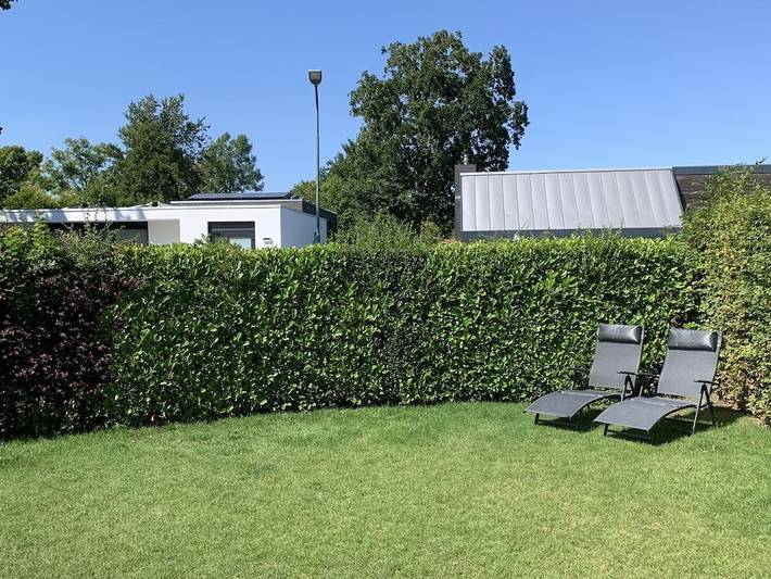 Bungalow für 4 Personen, mit Terrasse und Garten in Zoutelande - 3