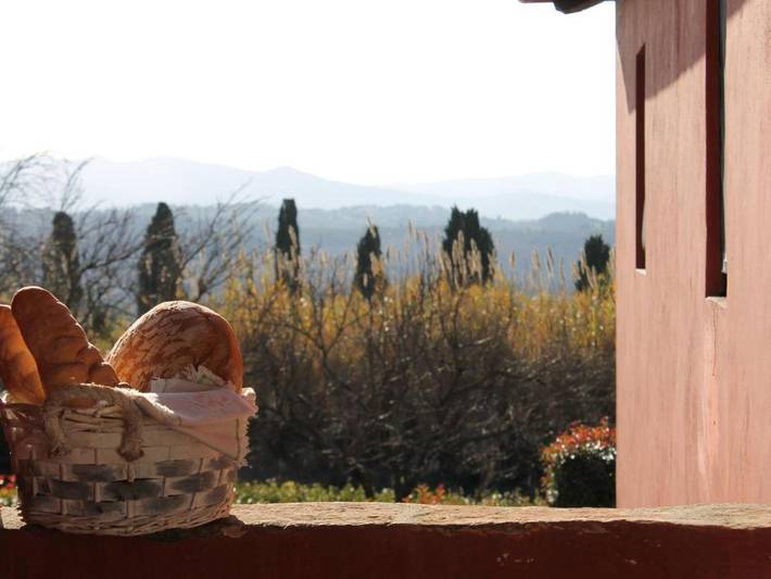 Gîte pour 6 personnes, avec jardin et terrasse, animaux acceptés dans Ghizzano - 3