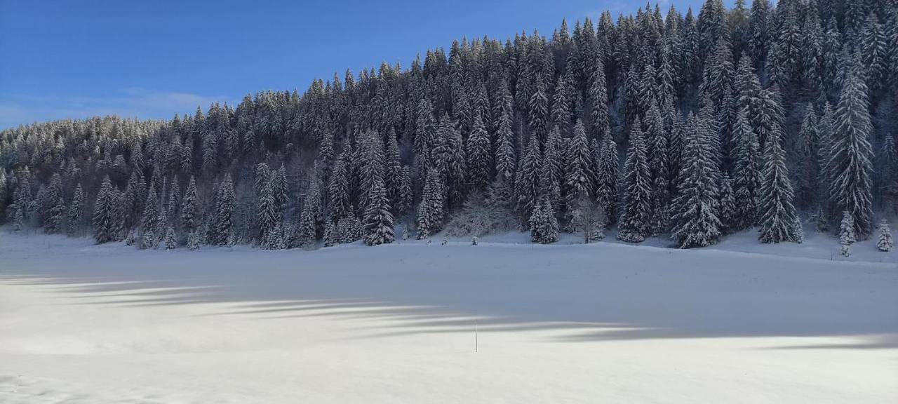 Appartement entier, La Ferme Du Lac in Lamoura, Parc naturel régional du Haut-Jura