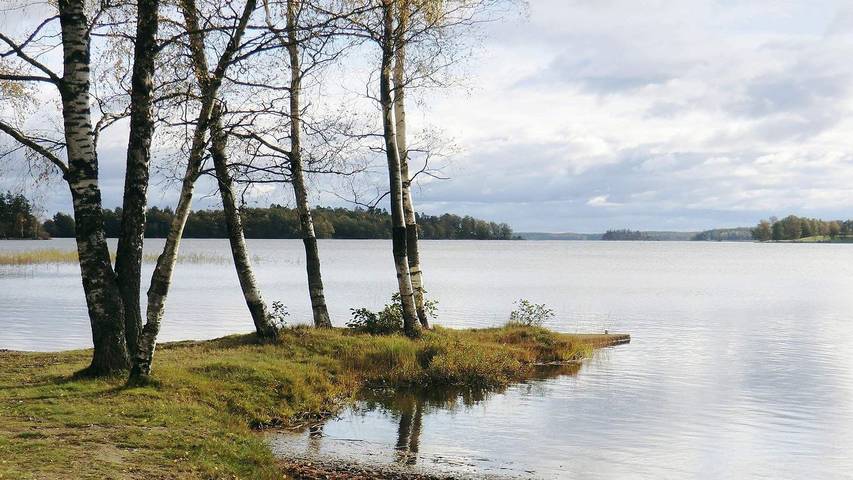 Ferienhaus für 5 Personen am Bolmen - 2