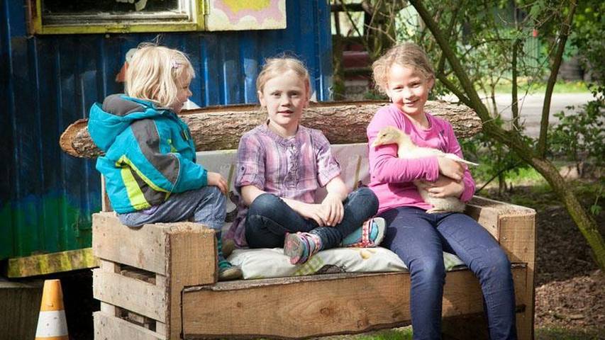 Ferienhaus für 6 Personen, mit Garten und Terrasse, mit Haustier in Neuenkirchen (Lüneburger Heide) - 4