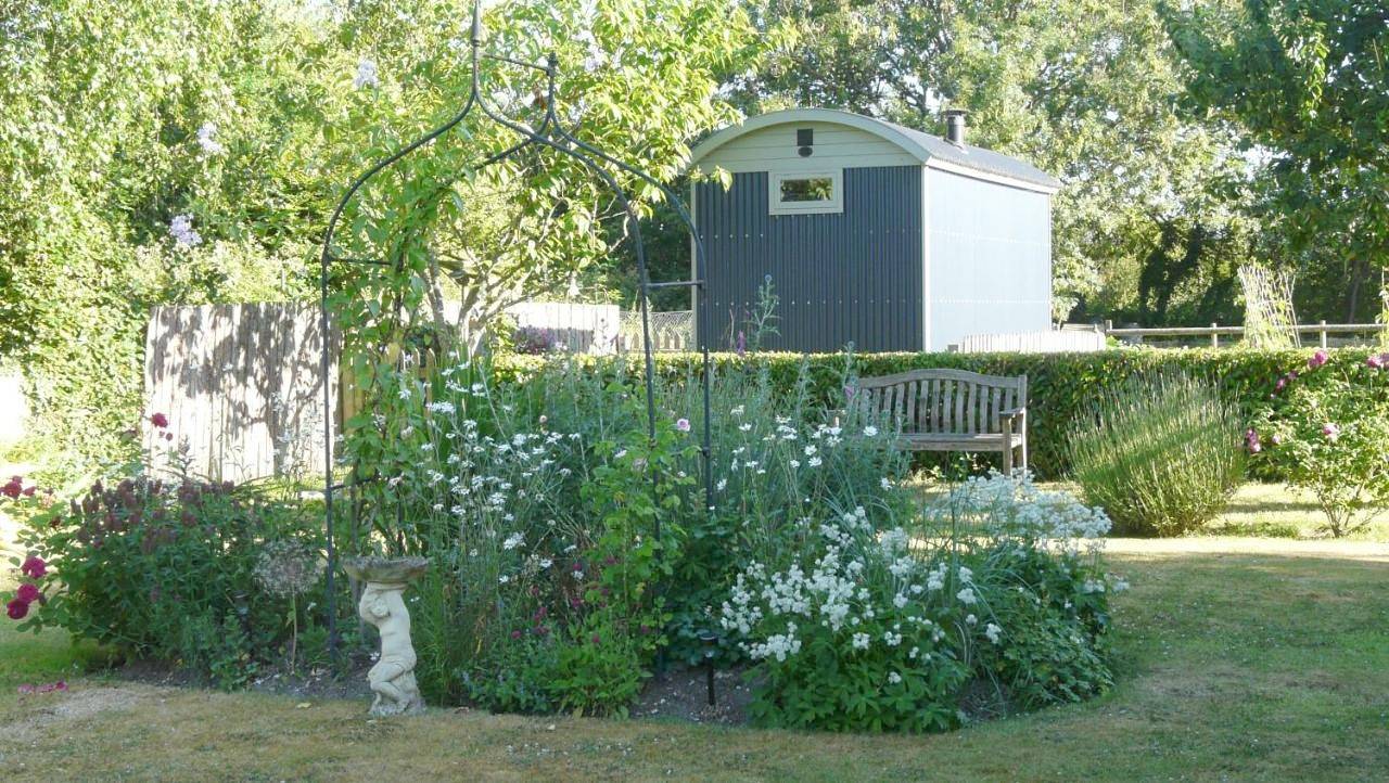 Dolly at Lowlands in Hampshire