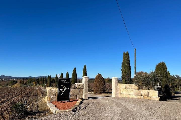Location de vacances pour 8 personnes, avec piscine et jardin à Plaissan - 4