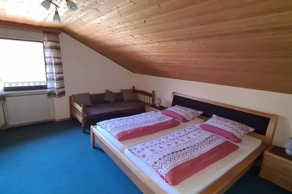 Ganze Wohnung, Große 100m2-Ferienwohnung im Dachgeschoss für 6 Personen in Grainet, Šumava Mountains