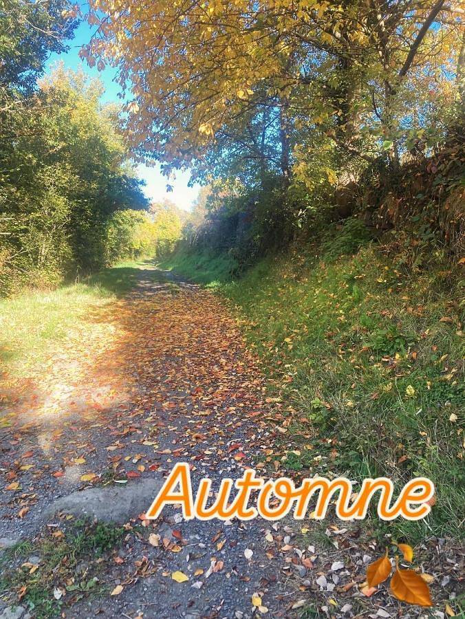 Location de vacances pour 4 personnes, avec jardin, animaux acceptés à Saint-Diéry - 4