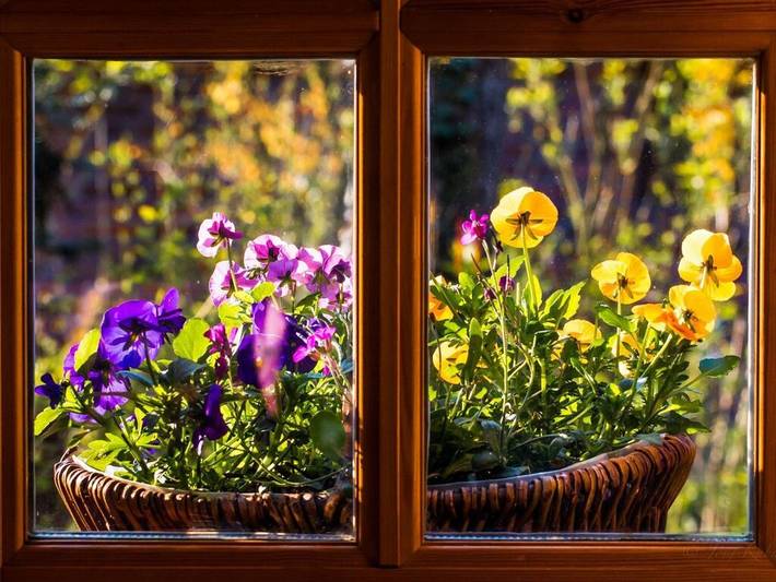Ferienhaus für 2 Personen, mit Terrasse und Garten im Oldenburger Münsterland - 3