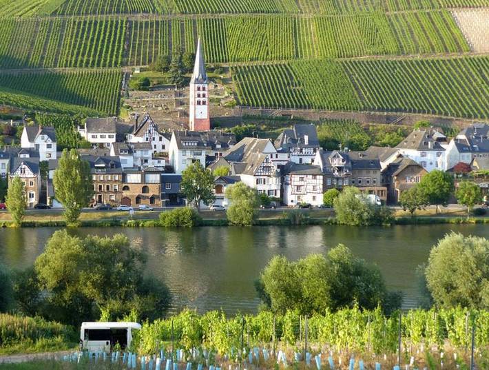 Ferienhaus für 12 Personen, mit Seeblick und Ausblick in Rheinland-Pfalz - 4