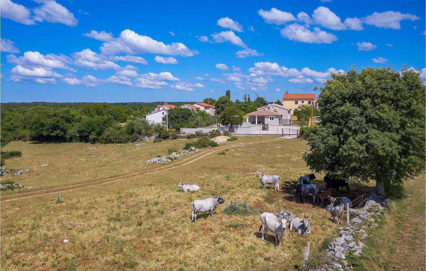 Geräumige Ferienwohnung mit Pool und Terrasse, 300 m zum Restaurant | WLAN & Parkplatz in Barban, Südküste Istrien