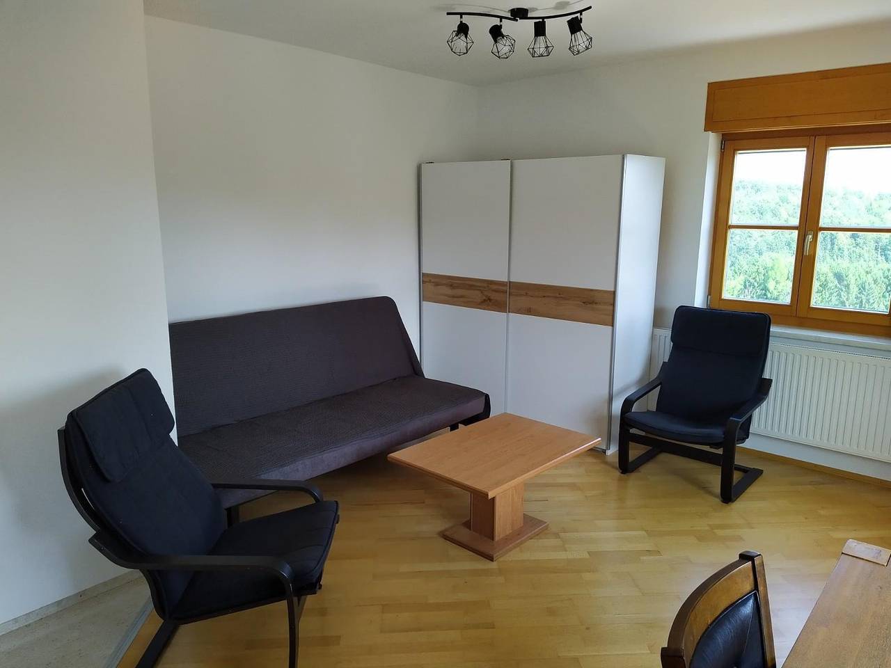 Ganze Ferienwohnung, Appartement/Fewo mit Südwest-Balkon in Südoststeiermark, Fehring