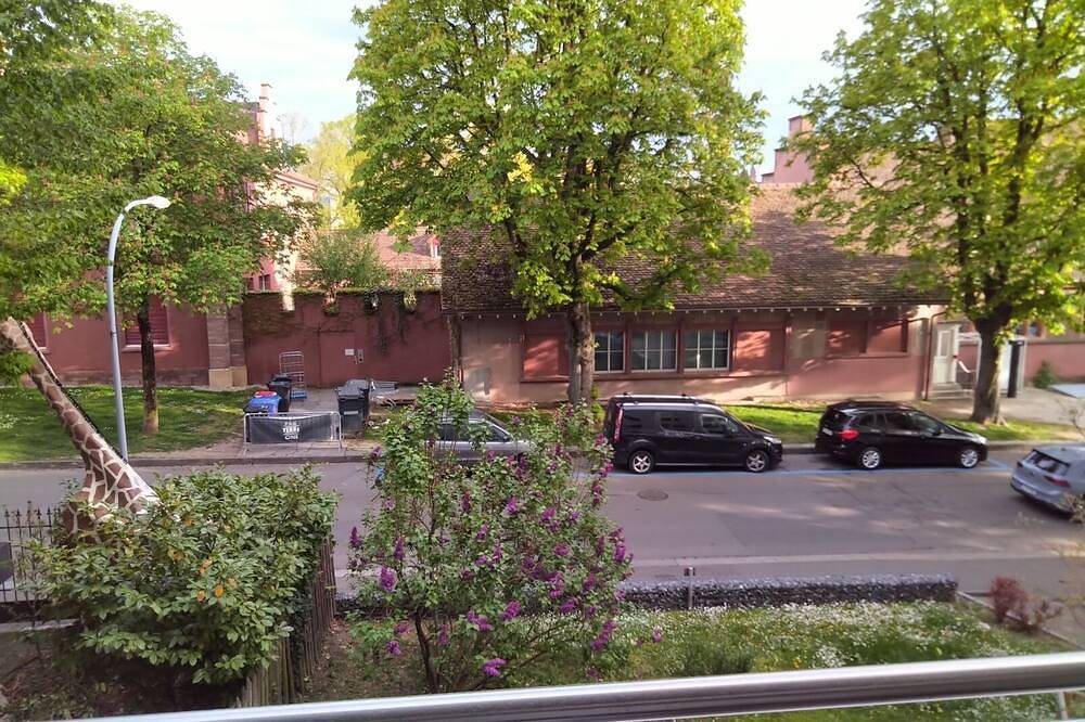 Appartamento intero, Spacious, stylishly furnished 3-room apartment near the Rhine in Basilea, Aargau-Basel
