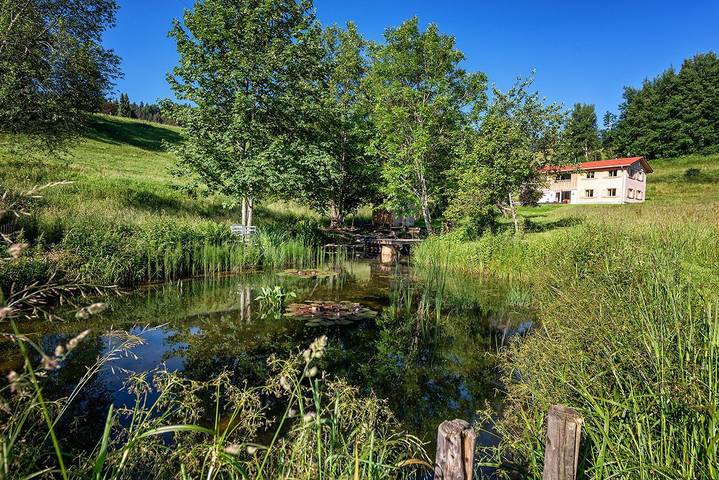 Chalet für 8 Personen, mit Garten in Oberstaufen - 2