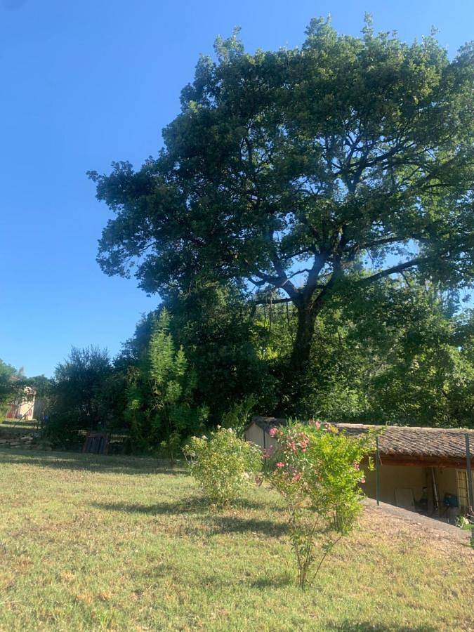 Villa pour 5 personnes, avec terrasse ainsi que jardin et vue à Vaison-la-Romaine - 2