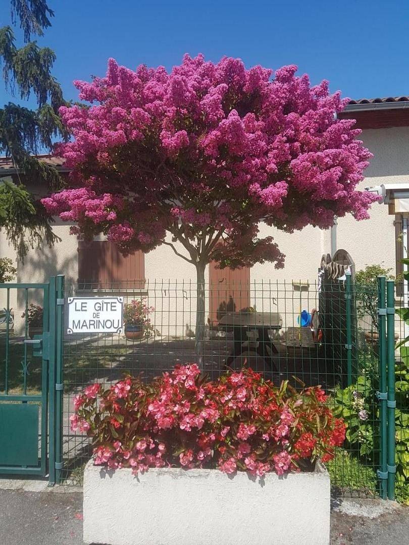 Le Gîte de Marinou in Saint-Jean, Haute-Garonne