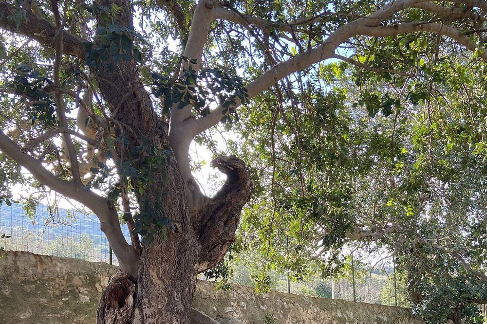 Ancient rural house, nature and tranquility in Comiso, Ragusa Provinz