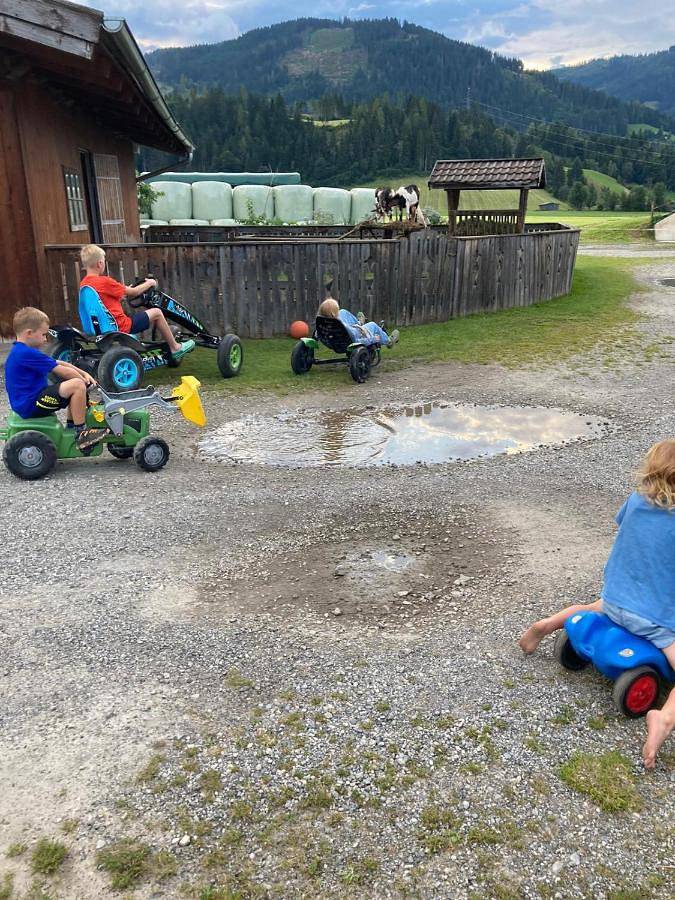 Ferienwohnung für 2 Personen, mit Ausblick und Sauna sowie Garten in Flachau - 3