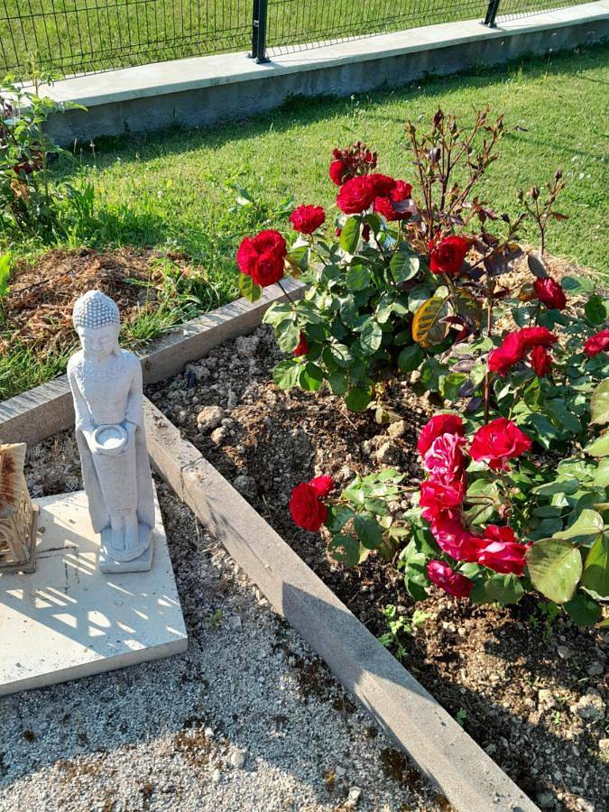 Location de vacances pour 6 personnes, avec jardin, animaux acceptés à Maranville - 2