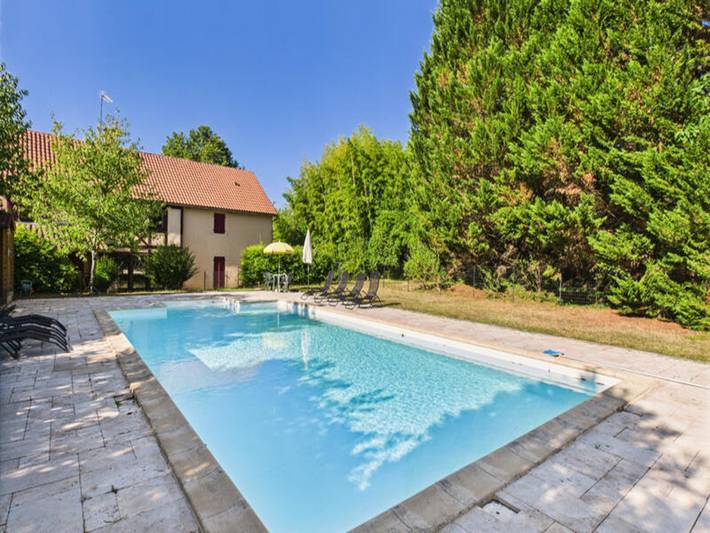 Gîte pour 12 personnes, avec jardin ainsi que piscine et terrasse, animaux acceptés à Peyzac-le-Moustier - 2