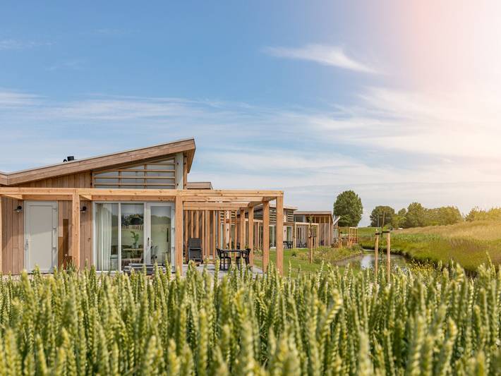 Strandhaus für 4 Personen, mit Pool und Garten, mit Haustier in Kamperland - 2