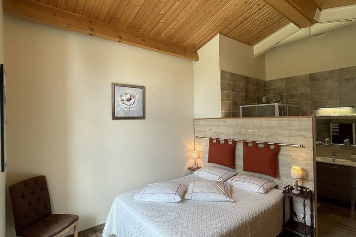 Gîte pour 10 personnes, avec jardin et jacuzzi à Laruscade - 4