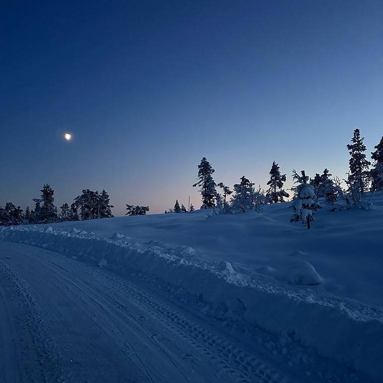 Fjellspurven in Vrådal, Kviteseid