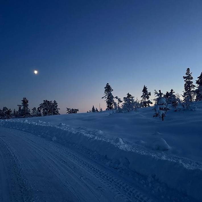Fjellspurven in Vrådal, Kviteseid