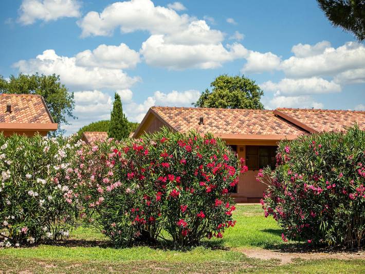 Vakantiewoning voor 4 personen, with tuin and zwembad as well as terras in Provincie Viterbo