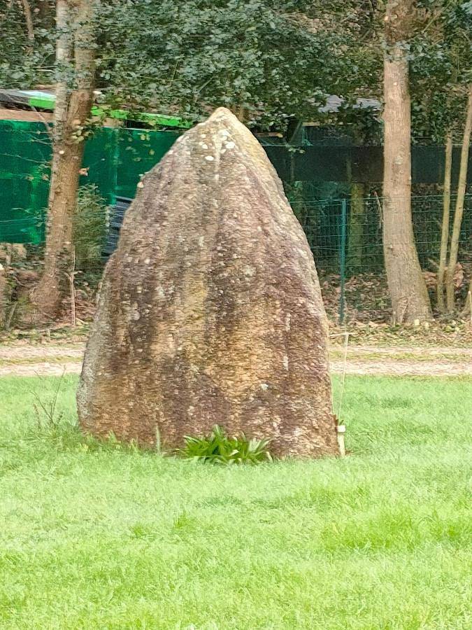 Gîte pour 2 personnes, avec jardin et vue à Allaire - 2