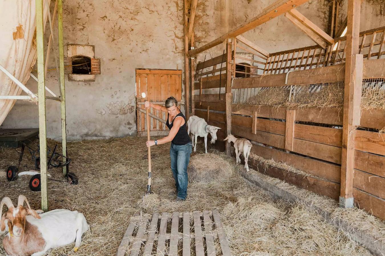 Ganze Wohnung, Tiny House im Herzen eines Ziegenhauses 15 Minuten vom Beauval Zoo entfernt in Nouans-les-Fontaines, Loches und Umgebung