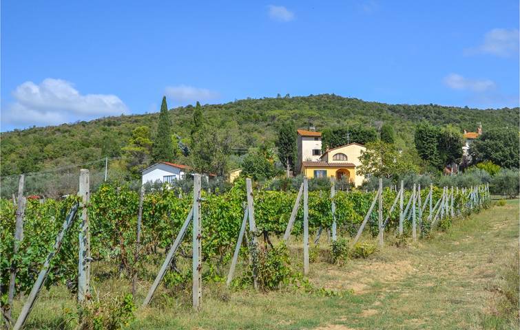 Gemütliche Wohnung mit Parkplatz, Garten & WiFi in Castiglion Fiorentino, Arezzo Provinz