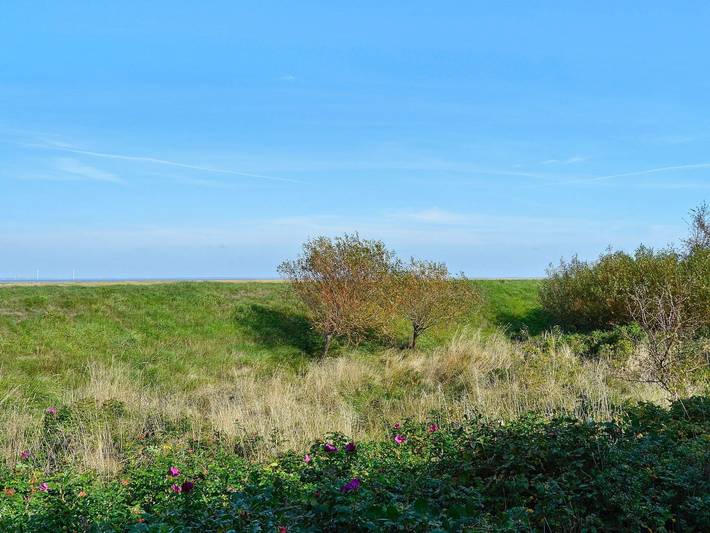 Ferienhaus für 6 Personen, mit Terrasse, kinderfreundlich an der Westküste Dänemarks - 4