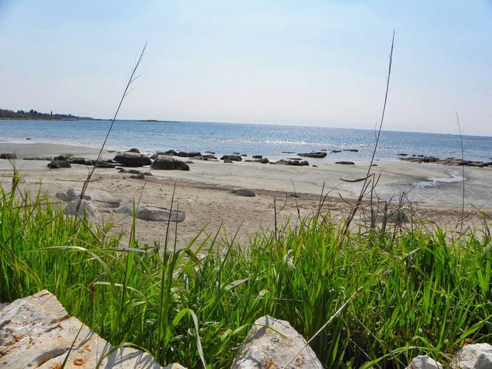 Ferienwohnung für 4 Personen, mit Balkon, mit Haustier in Umag - 2