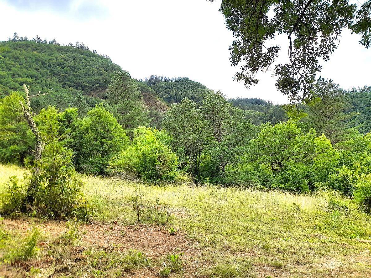 Glamping en Tente Yourte in Ispagnac, Parc national des Cévennes