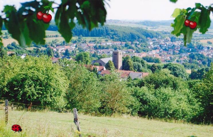 Location de vacances pour 2 personnes, avec vue ainsi que jardin et terrasse à Mettlach - 2