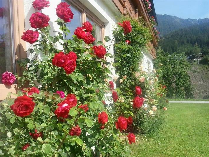 Bauernhof für 2 Personen, mit Garten und Balkon, kinderfreundlich in Ramsau am Dachstein - 4