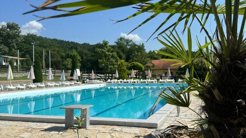 Location de vacances pour 3 personnes, avec jacuzzi ainsi que piscine et jardin à Despotovac - 2